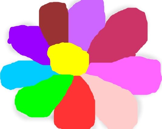 Floarea colorata