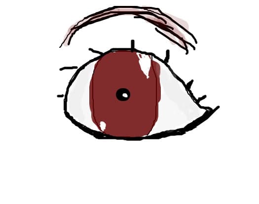 ochi