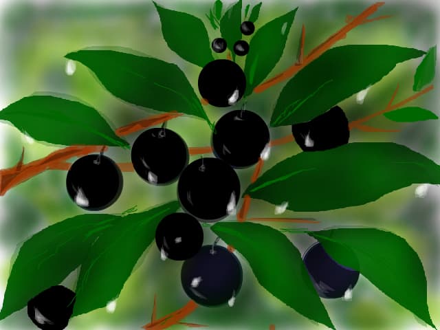 pomisor ,,afin,,