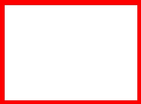 Stelute