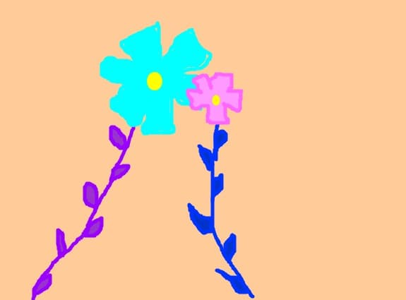 flori