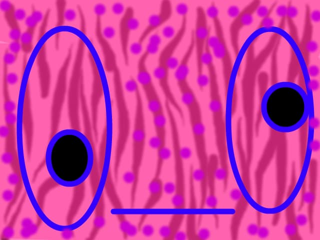O_O
