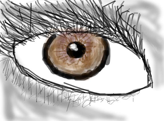 The My Eye!