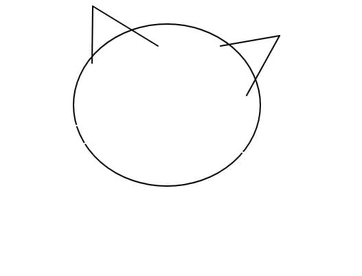 a nice cat
