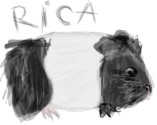 rica