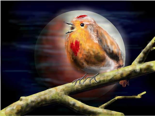 love bird