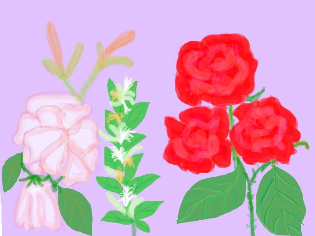 Buchet