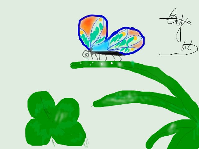 fluture