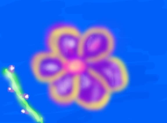 Pulrple flowers...