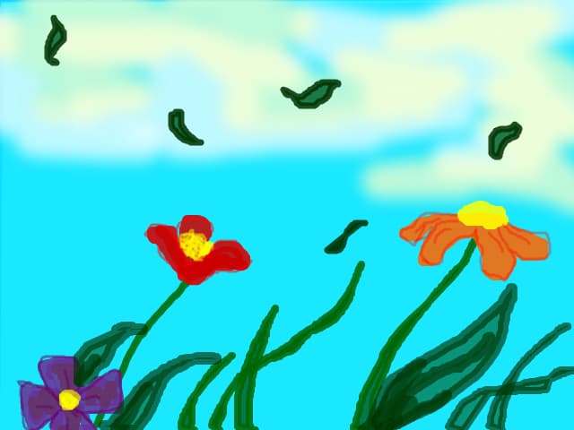 Flori