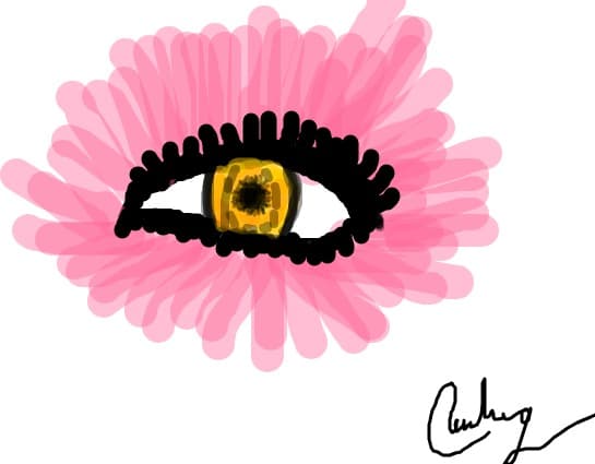 Eye