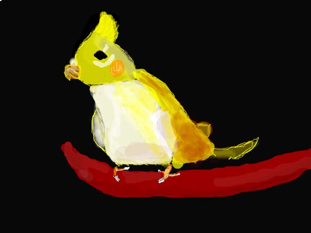 papagal
