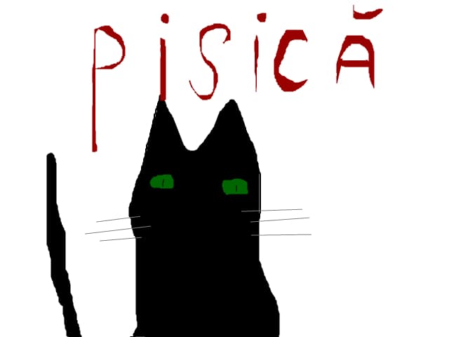 pisica