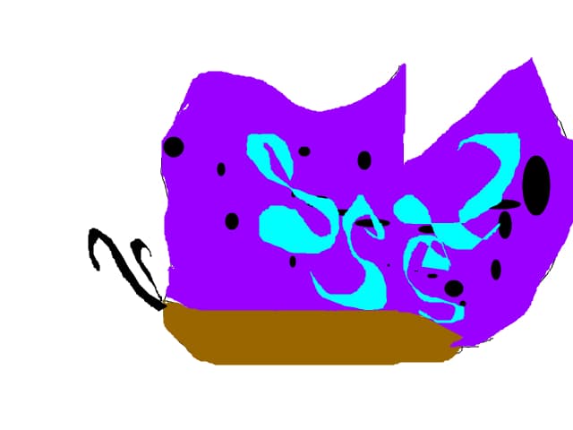 fluture