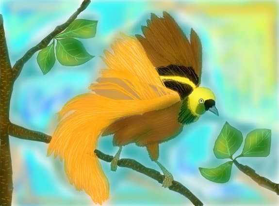 Pasarea paradisului