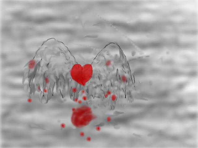 Wings