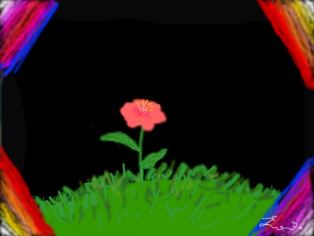 Floricica