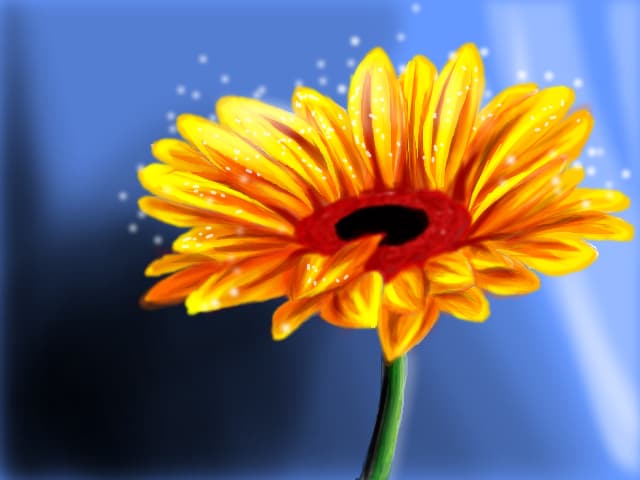 Gerbera