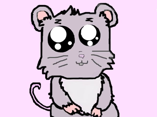 Soricel
