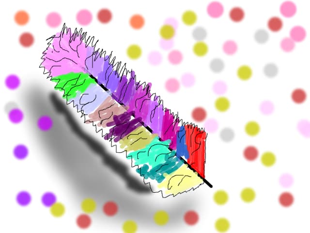 pana colorata