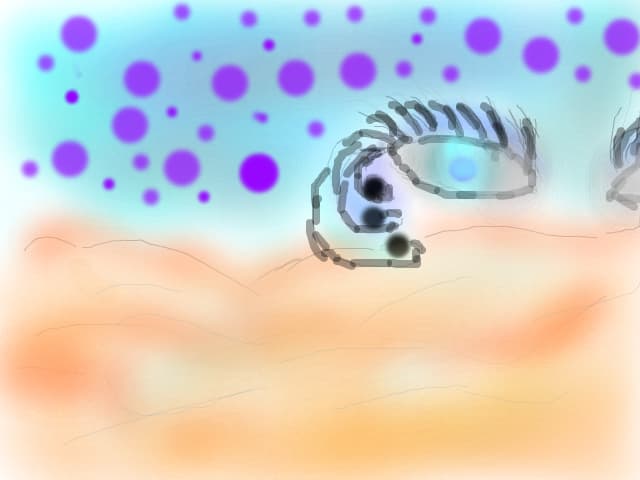 fata morgana in desert