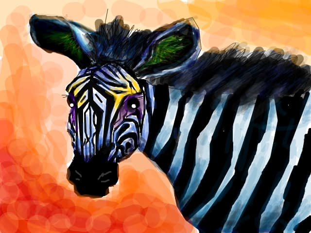Rainbow zebra
