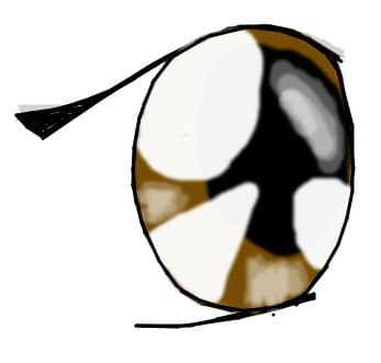 anime eye