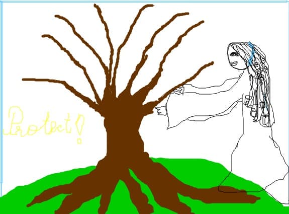 fairy
