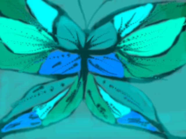 Butterfly
