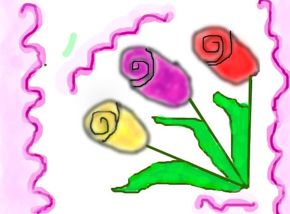 trandafiri colorati