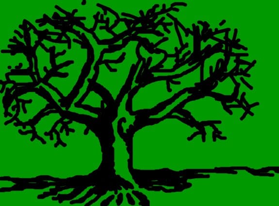 old tree