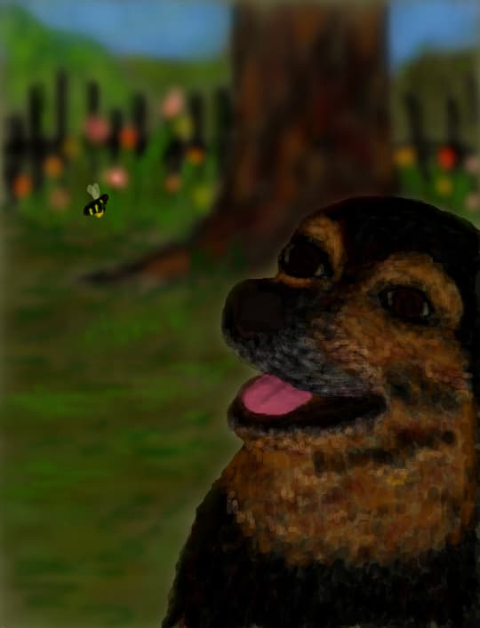 catelusul meu Max