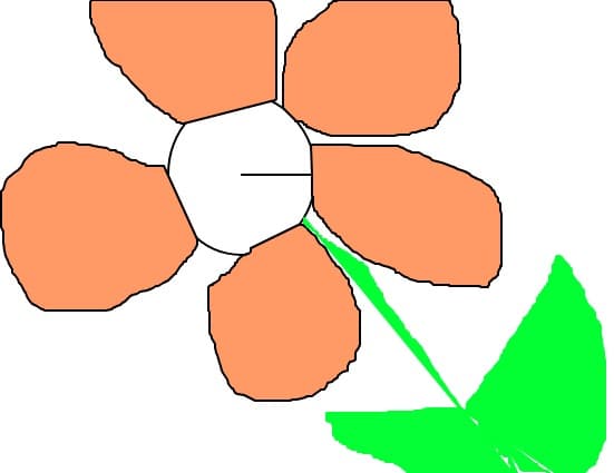 sun-flower