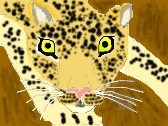 Leopard