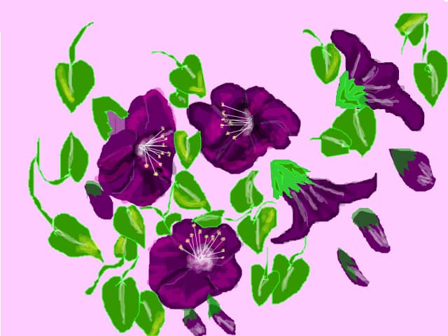 flori
