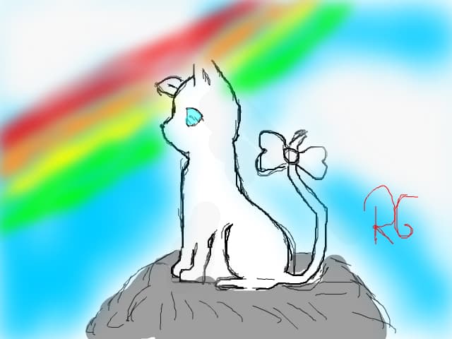 Rainbow Cat