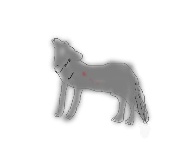 lup