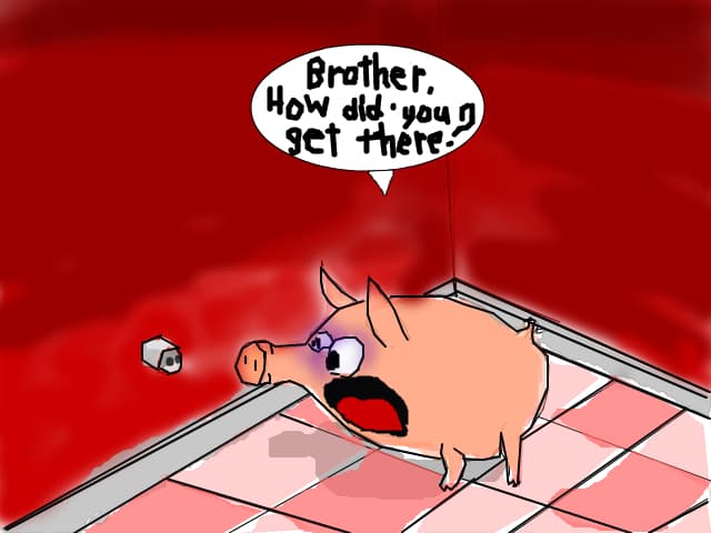 funny