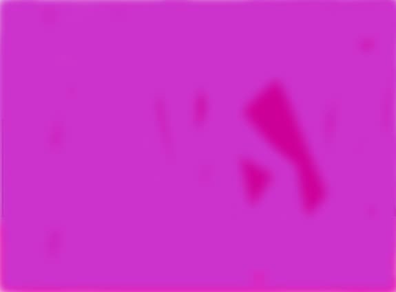 stele