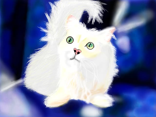 plush kitty