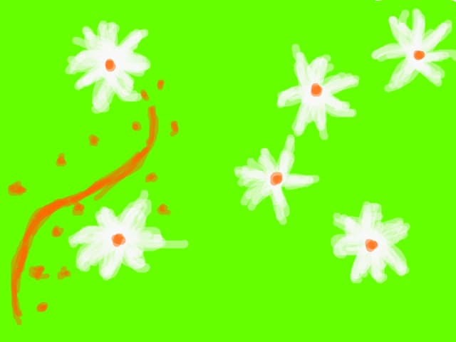flori