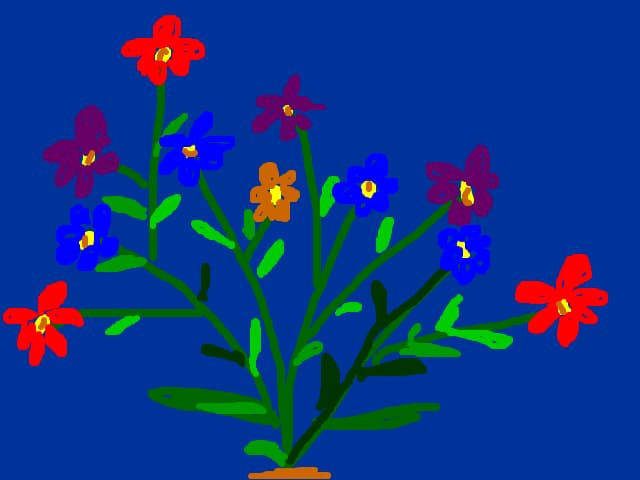 flori