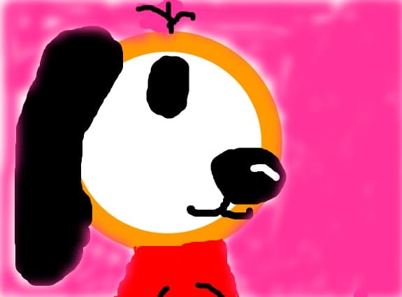 Boocy