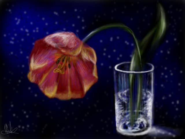Natura statica....: Lalea .