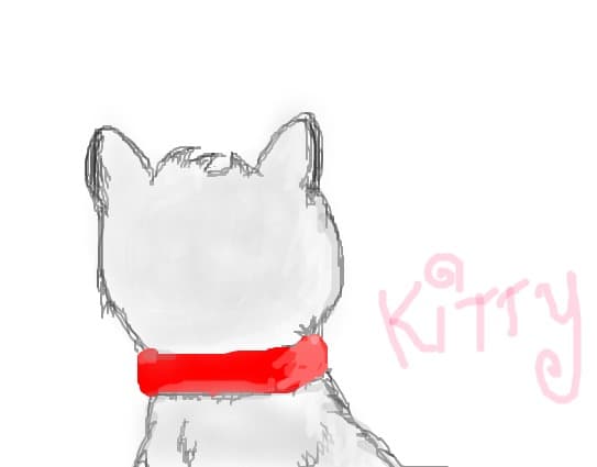 Kitty :P