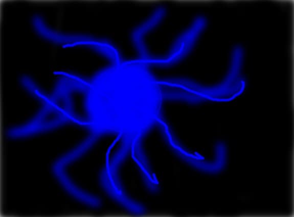 chidori