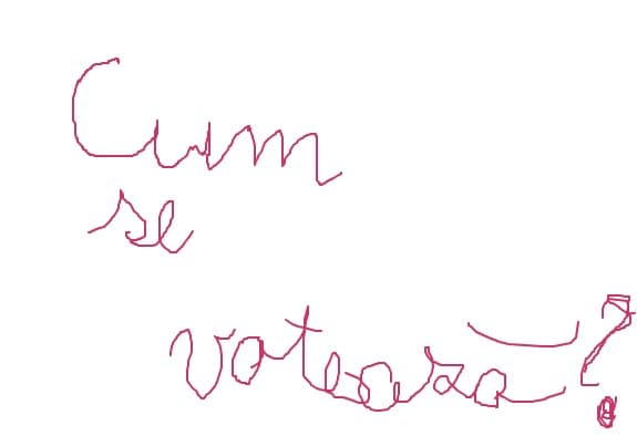 cum se voteaza?