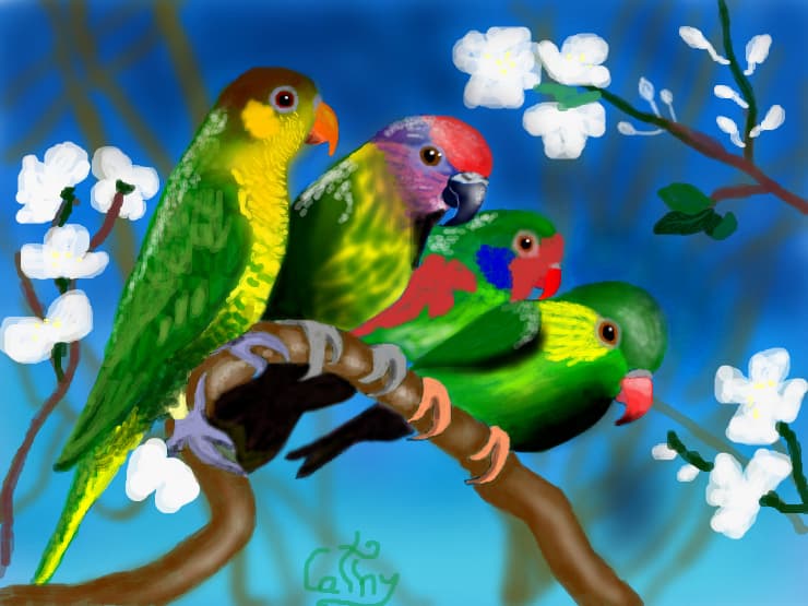 the beauty of nature