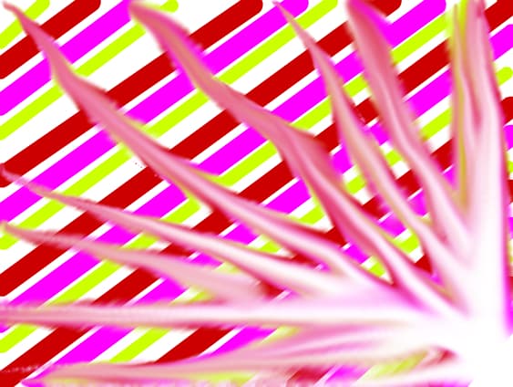 abstract