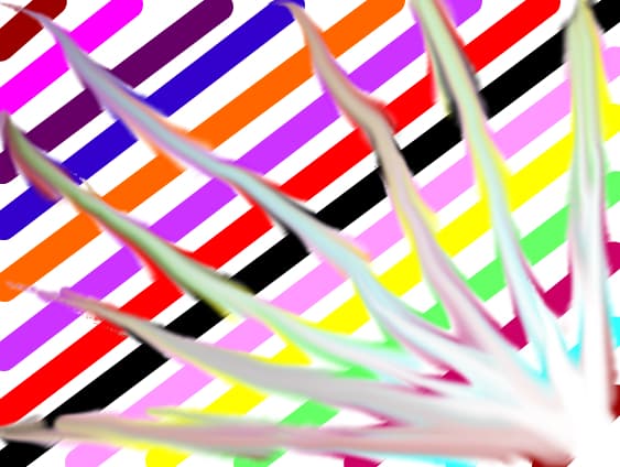 multycolor